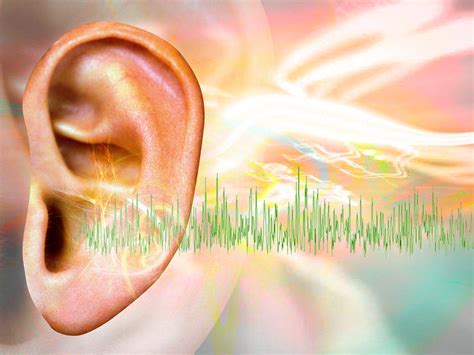 potential  therapy  tinnitus avs forum
