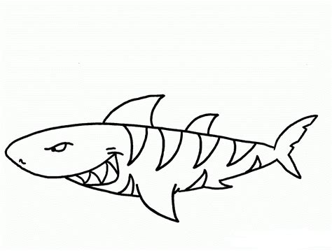 cartoon tiger shark coloring page  printable coloring pages  kids