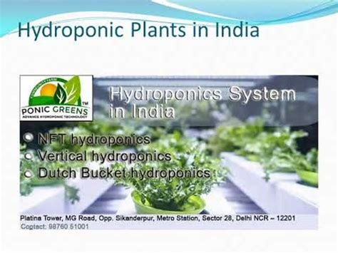 hydroponic farming jaipur farm house