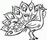 Peacock Coloring Pages Printable Kids sketch template