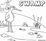 Swamp Coloring Pages Colorings sketch template