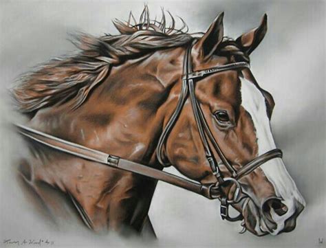 images  horse art  pinterest oil  canvas arabian