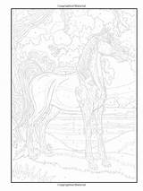 Coloring Color Number Horse Pages Haven Creative Horses Visit Book sketch template