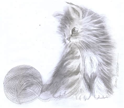 gato  lapiz por ivanutrera dibujando