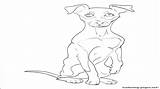 Pinscher Coloring Pages Miniature Pinchers Doberman Draw Dog Getcolorings Printable Getdrawings Print Color sketch template