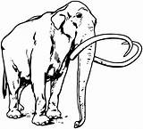 Mammoth sketch template