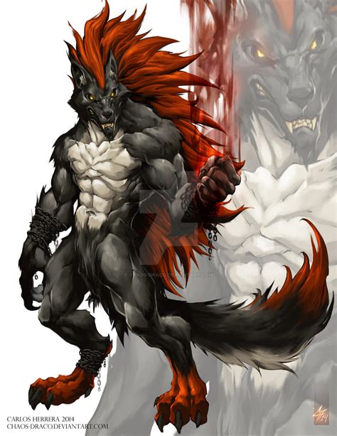 red werewolf  comission work  chaos draco  deviantart