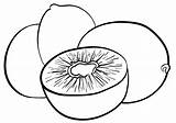 Fruit Kiwi Coloring Pages Drawing Clipartmag Print sketch template