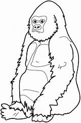 Gorilla Coloring Pages Clipart Sitting Clip Baby Cartoon Cute Line Cliparts Face Down Printable Gorillas River Craft Color Kids Library sketch template