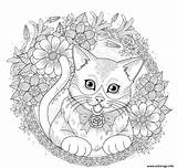 Gatti Chats Katzen Erwachsene Adulti Fleurs Malbuch Coloriages Adultos Katze Mandalas Justcolor Book Gratuit sketch template