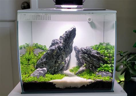 fluval flex  rplantedtank