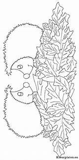 Kleurplaten Egels Egel Dieren Animaatjes sketch template