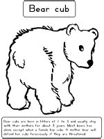 bears coloring pages  printable activities