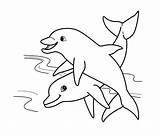Dolphin Dolphins Drawings Riscos Compartilhar sketch template
