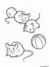 Mouse Coloring Pages Printable sketch template