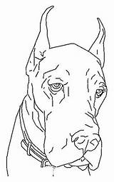 Hond Honden Kleurplaten Caini Dane Dieren Colorat Caine Desen Mewarnai Planse Anjing Vanatoare Cani Animasi Chiens Ausmalbild Bergerak Animierte Coloringpagesfun sketch template