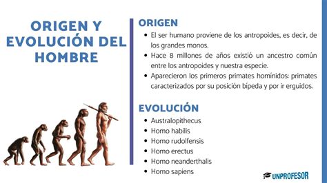 Origen Y Evolución Del Hombre Resumen