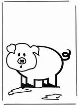 Cerdito Varken Kinder Cochon Porc Schwein Porco Animais Bruintje Ren Porcos Colorir Maiale Nukleuren Schweinchen Maialino Meu Pequeno Ausmalbilder Bambini sketch template
