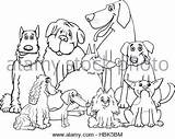Schnauzer Coloring Pages Getcolorings Getdrawings sketch template