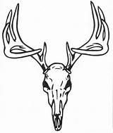 Deer Skull Drawing Coloring Clipart Tattoo Head Buck Antlers Pages Designs Stencil Outline Tattoos Antler Face Simple Clip Whitetail Template sketch template