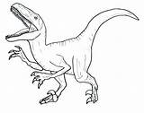 Velociraptor Rugiendo Dinosaure sketch template