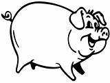 Pig Coloring Template Pages Realistic Head Templates Kids sketch template