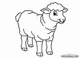 Sheep Cute Coloring Pages Oveja Bonita La El Sheeps Animals sketch template