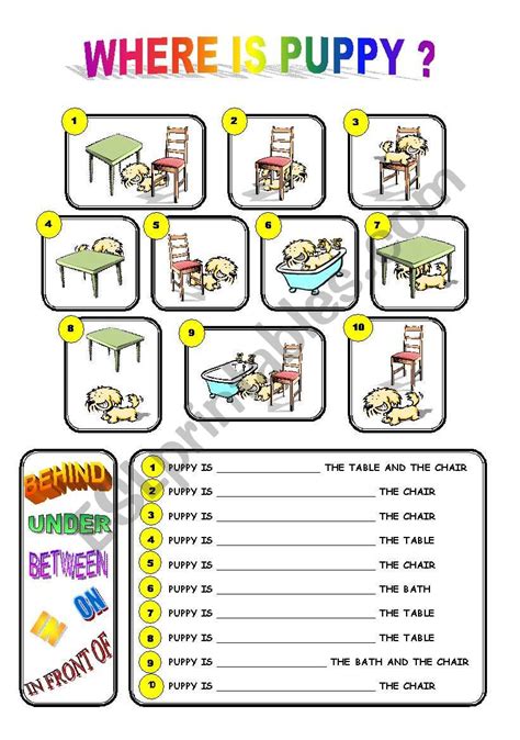 puppy prepositions  place esl worksheet  lamejor