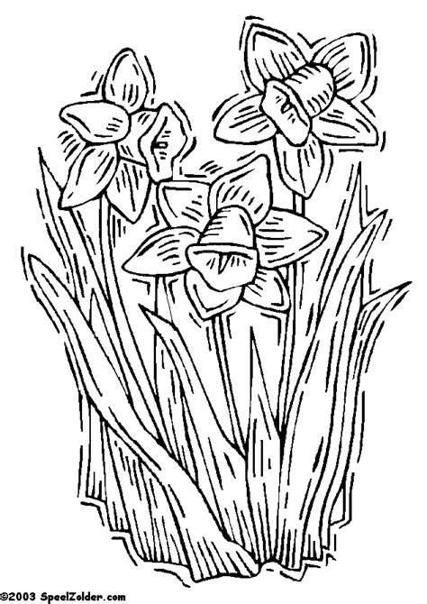 kleurplaat lente bloemen speelzoldercom
