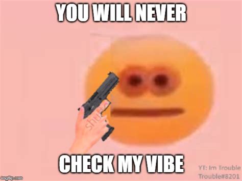 You Will Never Check My Vibe Imgflip