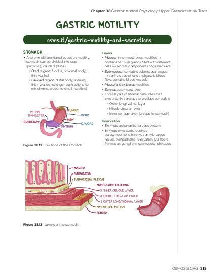 Gastric Motility Osmosis