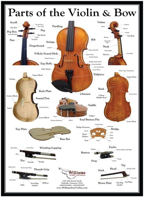 awesome parts   violin worksheet color code addition worksheets
