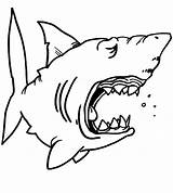 Shark Coloring Pages Sharks Kids Jaws Hungry Drawing Chibi Great Color Outline Funny Jaw Print Children Template Printable Hammerhead Getdrawings sketch template