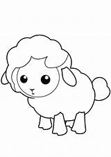 Coloring Pages Sheep Baby Printable sketch template