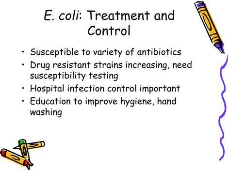 enterobacteriaceae  opportunistic pathogens powerpoint  id