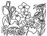 Coloring Spring Pages Preschool Sheets Popular sketch template