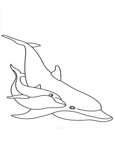coloring pages cute dolphin coloring pages  kids