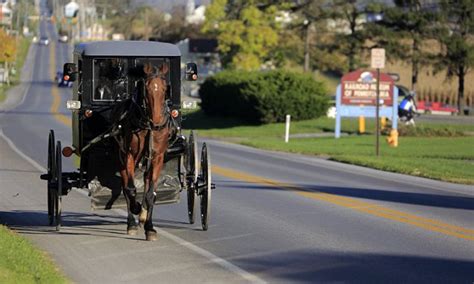 amish teen charged with driving a buggy drunk with two friends surfing on the roof daily