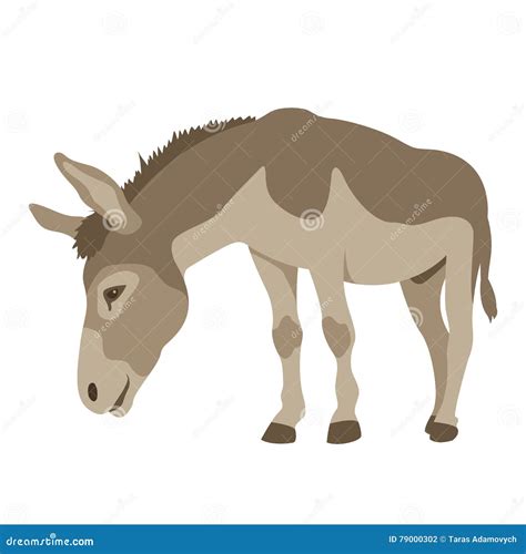 donkey vector illustration flat stock vector illustration  bear