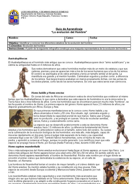 Infografia Evolucion Del Hombre Homo Evolución Humana