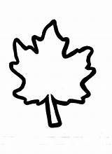 Leaf Fall Outline Leaves Clipart Maple Template Clip Autumn Coloring Kids Leave Small Outlines Crafts Cliparts Templates Pages Kiboomu Library sketch template