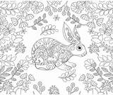 Adults Rabbits Silly sketch template