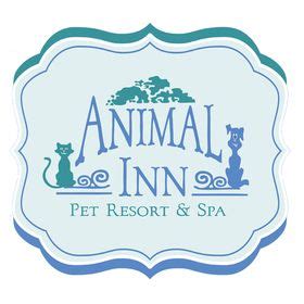 animal inn pet resort spa animalinnpetres profile pinterest