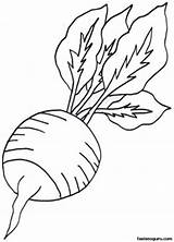 Radish Vegetable Rzodkiewka Kolorowanka Radis Sayuran Sayur Fastseoguru Druku Mewarna Coloringall Pelbagai Mari Wydrukuj Malowankę Maternelle Artisanat Colorier sketch template
