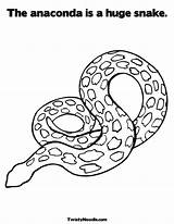 Anaconda Schlange Ausmalbilder Ausmalbild Rhyme Tracing Letzte Lizard sketch template