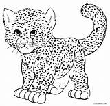 Cheetah Easy Coloring Pages Drawing Getdrawings sketch template