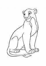 Lioness Coloring Drawing Pages Lion Getdrawings Printable Color sketch template