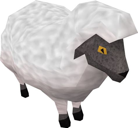 Sheep Runescape Wiki Fandom Powered By Wikia