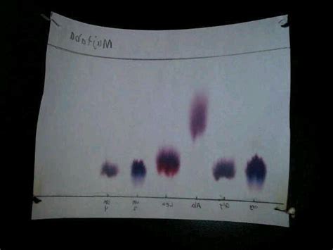 nhbassignmentvtxwebfccom explain  mechanism  separation  paper chromatography