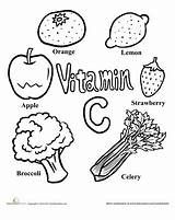 Foods Glow Grow Go Vitamin Drawing Rich Vitamins Food Color Kids Preschool Worksheet Worksheets Easy Facts Education Nutrition Healthy Groups sketch template